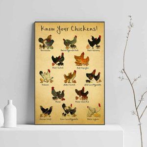 Know Your Chickens Satin Poster No Frame, Chickens